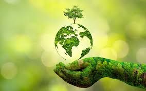 Air Quality & Pollution Trivia (Eco-Fair 2025 California Highschool)